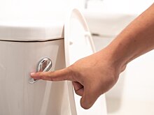 Можно ли заразиться коронавирусом от унитаза