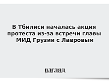 В Тбилиси началась акция протеста из-за встречи главы МИД Грузии с Лавровым