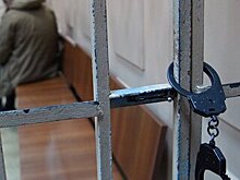 Заказчика поджога здания Никулинского районного суда заочно арестовали