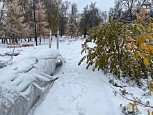 Экскурсию по «косякам» благоустройства провел эколог Каюмов в Нижнем Новгороде