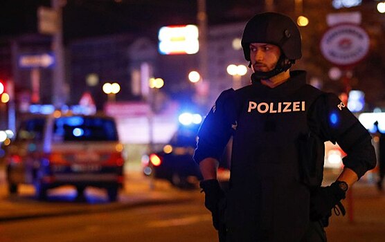 В Вене отменили учебу в школах из-за теракта