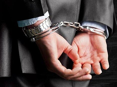 В Москве по делу о мошенничестве задержан советник РАН Соловьев