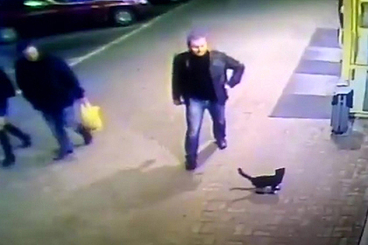 Белорусского милиционера уволили за пинок котенка