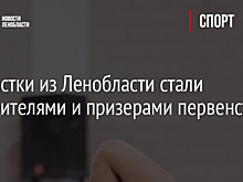 Гимнастки из Ленобласти стали победителями и призерами первенства СЗФО