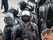 Полиция задержала организатора «Русского марша» в Москве