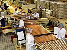 Вузы Петербурга получат федеральные гранты на развитие "Предпринимательских точек кипения"