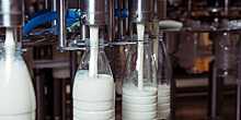Молочный завод из Карачаево-Черкесии начал поставки продукции в страны СНГ