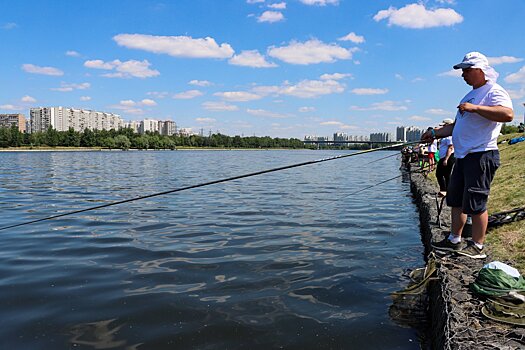 Выбрать место и способ отдыха в Подмосковье теперь проще