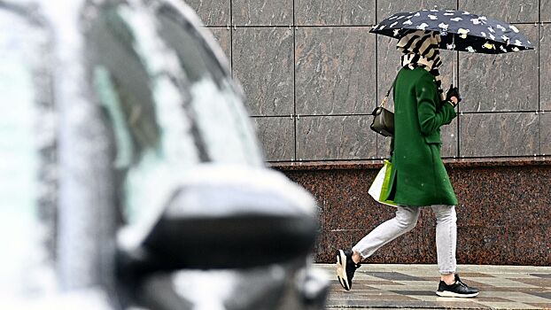 В Москве пошел первый снег