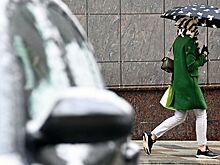 В Москве пошел первый снег