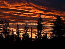 Близкие Усольцевых объяснили обнаружение тайника бесследно пропавшей в тайге семьи