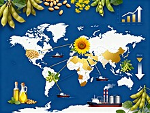 Анализ рынка растительных масел и жиров в Восточной Европе и СНГ с 29 сентября по 5 октября 2025 года