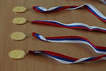 Шесть медалей завоевали нижегородцы на международных соревнованиях по вольной борьбе в Венгрии