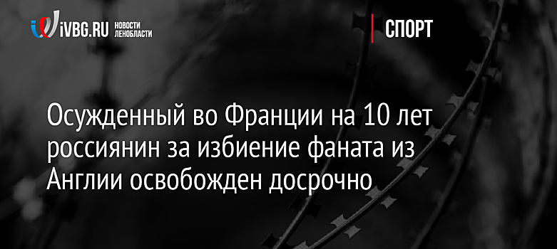 Осужденный во Франции на 10 лет россиянин за избиение фаната из Англии освобожден досрочно