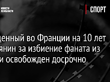 Осужденный во Франции на 10 лет россиянин за избиение фаната из Англии освобожден досрочно