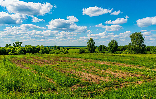Правительство области передало Тамбову коммунальные сети и земельные участки