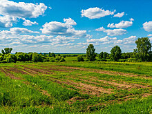 Правительство области передало Тамбову коммунальные сети и земельные участки