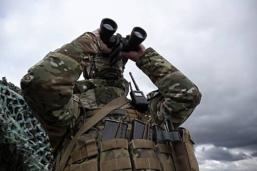 В России предрекли уничтожение самолетов дронами-ПВО