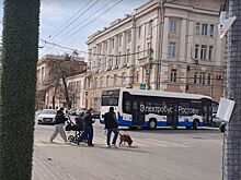 В российском городе придумали способ борьбы с расклейщиками объявлений
