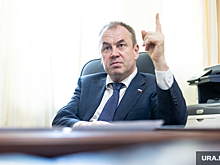 Челябинский депутат Госдумы выступил за раскрытие имущества и доходов парламентариев