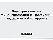 Подозреваемый в финансировании ИГ россиянин задержан в Амстердаме