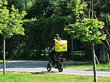 В России собрались бороться с опасными курьерами