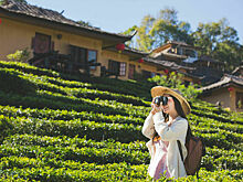 Эксперт заявил о значительном росте выездного туризма из России во Вьетнам