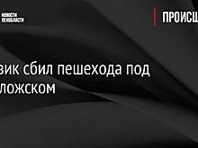 Грузовик сбил пешехода под Всеволожском