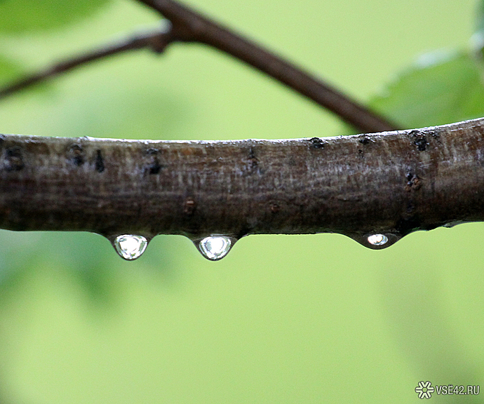 Дожди с грозами пойдут в Кузбассе в воскресенье
