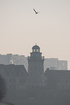Туман, осадки: погода в Калининградской области на четверг
