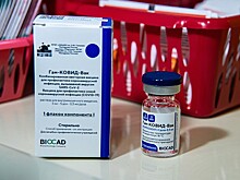 Доклинические испытания препарата от COVID-19 на основе антител завершили в РФ