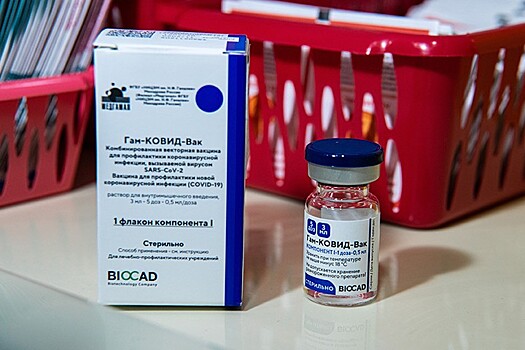 Доклинические испытания препарата от COVID-19 на основе антител завершили в РФ