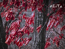 Октябрь и ноябрь будут аномальными: синоптики дали новый прогноз погоды