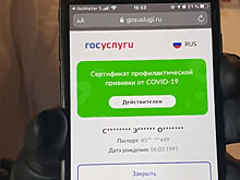 «Нерабочие» кончатся, «куары» останутся: стали известны планы Башкирии после нерабочих дней