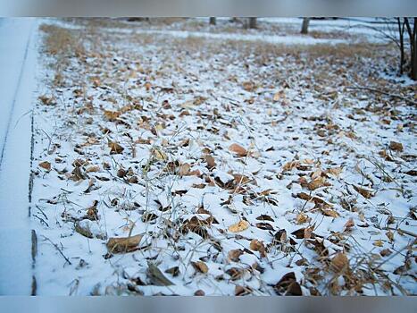 Госинспекция Забайкалья проверяет уборку снега во дворах