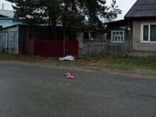 19 мая в Березниках в ДТП погибли два пешеходы