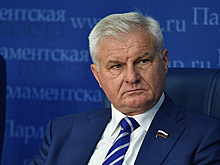 Плотников предлагает увеличить поддержку сельской ипотеки уже в 2020 году
