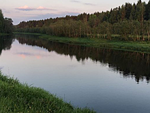Подростки нашли человеческие останки в реке в Вологодской области