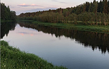 Подростки нашли человеческие останки в реке в Вологодской области