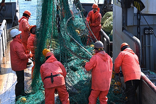 На прилавках будет больше "народной" рыбы