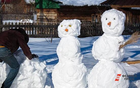 Тюменцы вновь отметят праздник зимних видов спорта