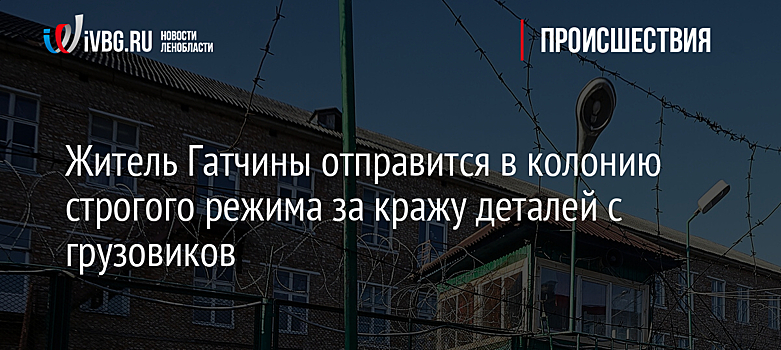 Житель Гатчины отправится в колонию строгого режима за кражу деталей с грузовиков