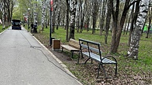 Новые скамейки установили в парке Победы в Вологде
