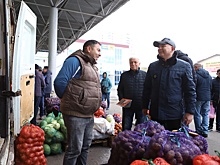 В Курске прошла традиционная ярмарка «Осень-2024»