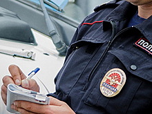 Полиция проверяет сообщение о взрыве в лесополосе Владимирской области