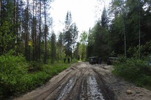 Браконьера задержали по подозрению в убийстве егеря под Владимиром