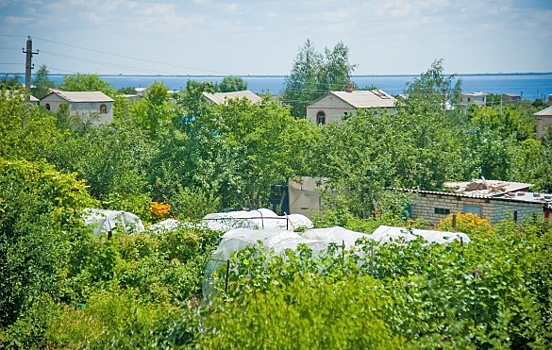 На какой срок продлили дачную амнистию