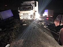 На трассе М-5 под Сызранью столкнулись четыре грузовика и Lada Granta, водитель легковушки погиб