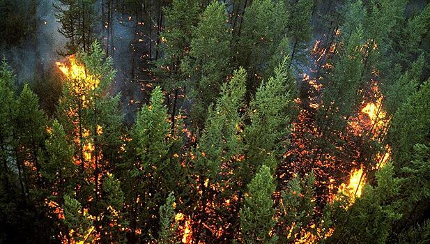 Якутск окутало дымом от лесных пожаров в Сибири и северных улусов республики