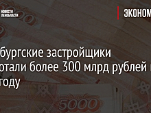 Петербургские застройщики заработали более 300 млрд рублей в 2022 году